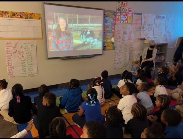 Children watching a video on a projector screen in a classroom.